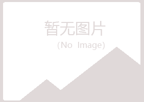 烈山区沉沦会计有限公司